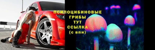 хмурый Алексеевка