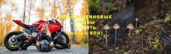 мескалин Алексин
