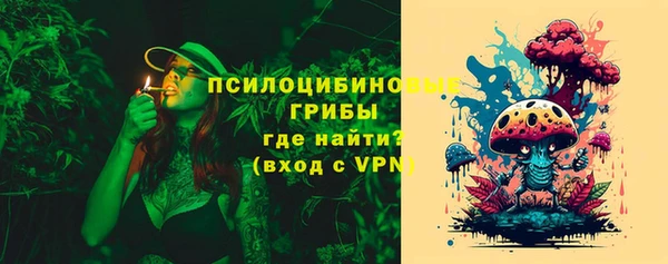 хмурый Алексеевка